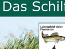 Schild
