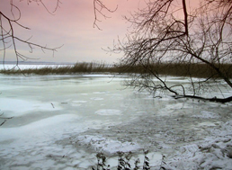 Gnitz
