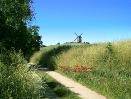 Pudagla